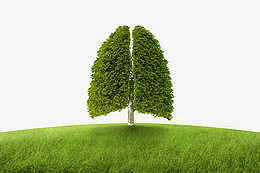 使用睡眠呼吸機(jī)，有哪些要注意的？